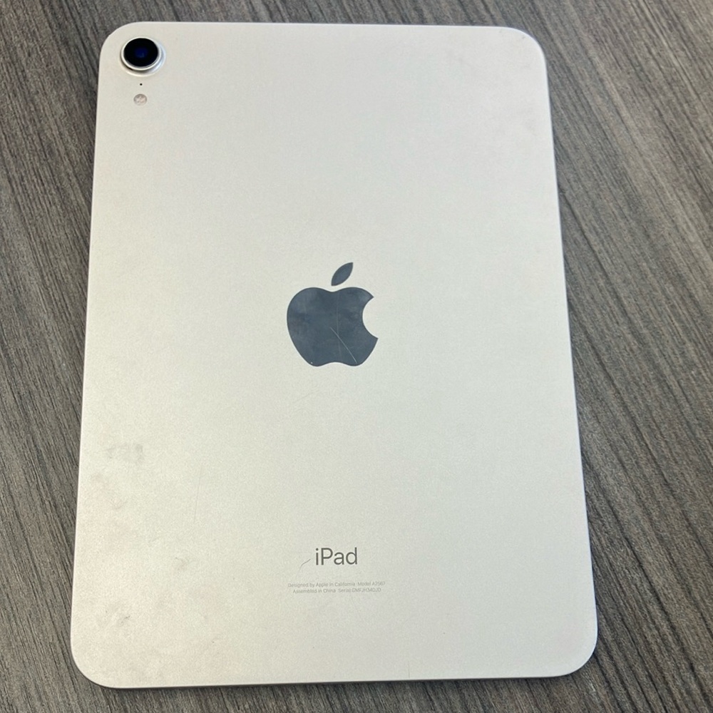 Apple iPad in Sleek Silver